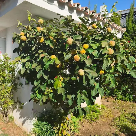 Luxury Penthouse Walk To Banus Διαμέρισμα